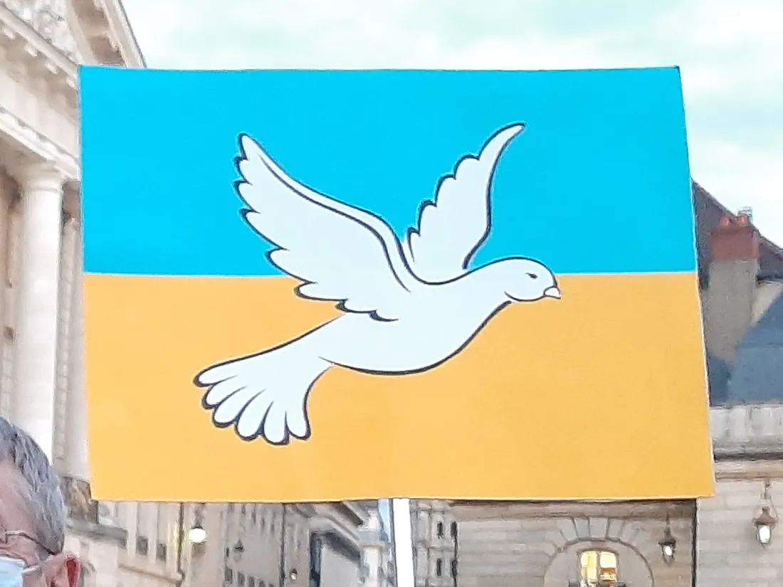 À Dijon et Besançon, ils se mobilisent pour envoyer une ambulance en Ukraine